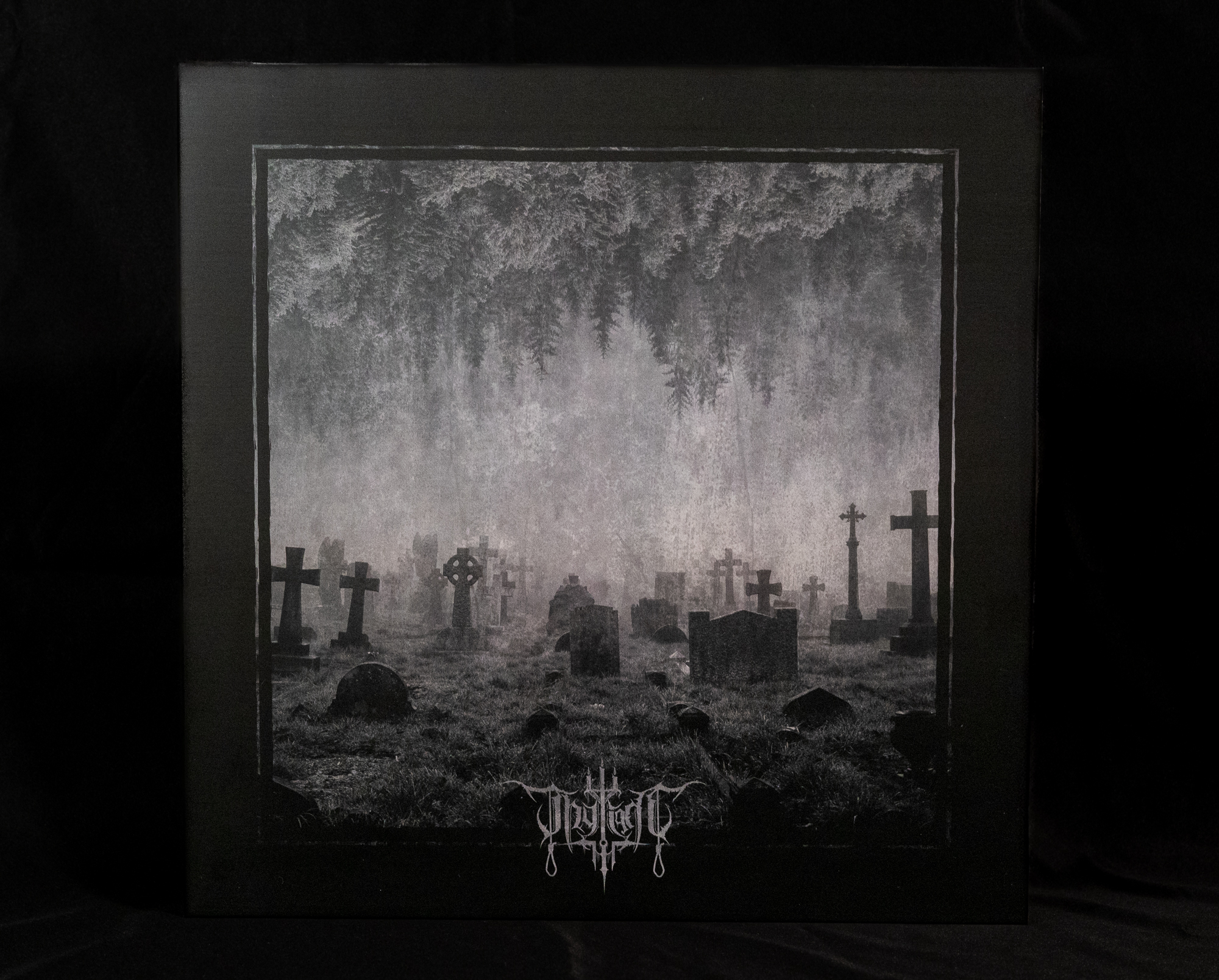 2024_07_26_Thy-Light-LP_-c-_Astrid_Pichler-7