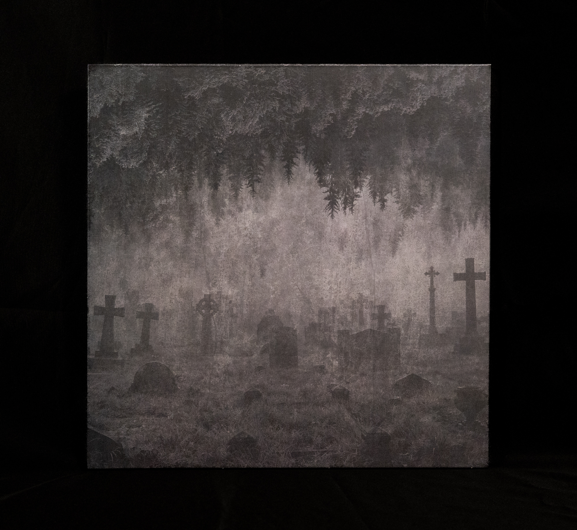 2024_07_26_Thy-Light-LP_-c-_Astrid_Pichler-5