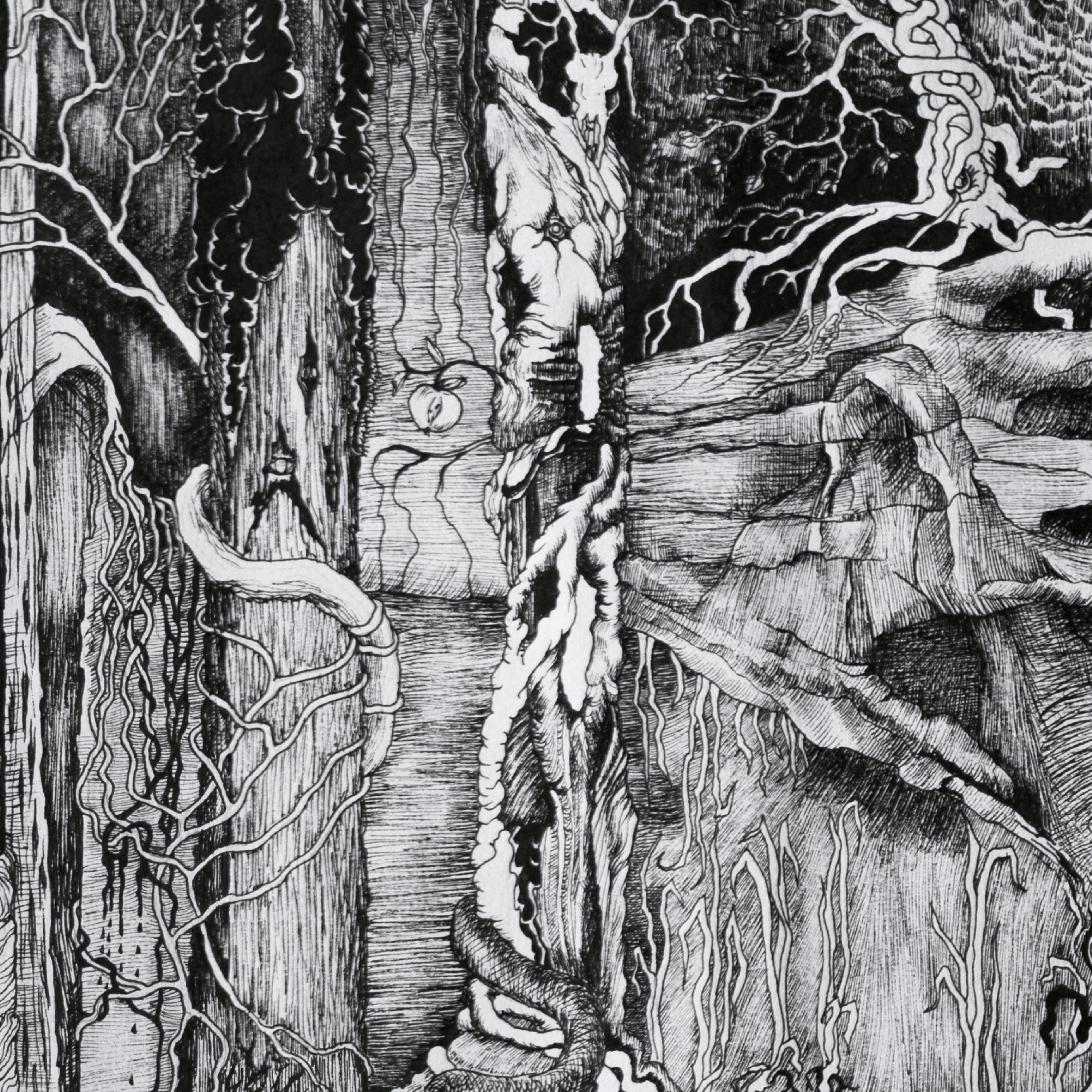 TR053CD_Thou_Shell_Of_Death_-_Witchery Thou Shell Of Death - Witchery Titelbild