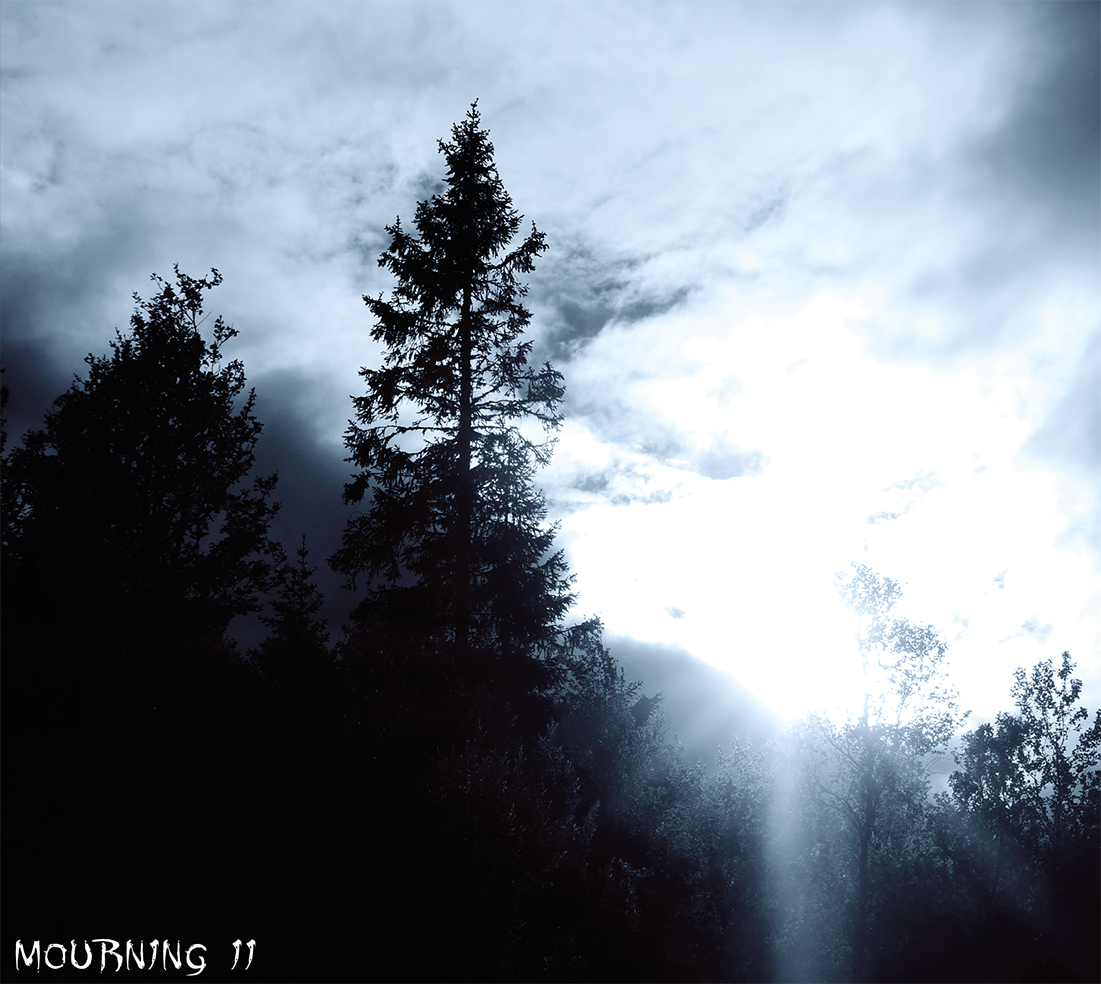 TR048CD_Lost_In_Desolation_-_Mourning_II_Cover Lost In Desolation - Mourning II Titelbild