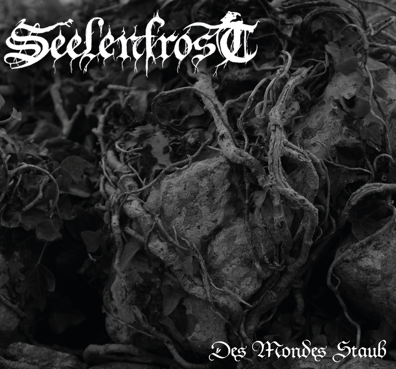 Seelenfrost - Des Mondes Staub Titelbild