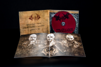 VarulV - Wolfszorn Präsentation 2