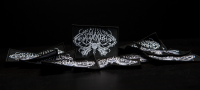 Coldnight - Waterfall Of Suicides Presentation 2