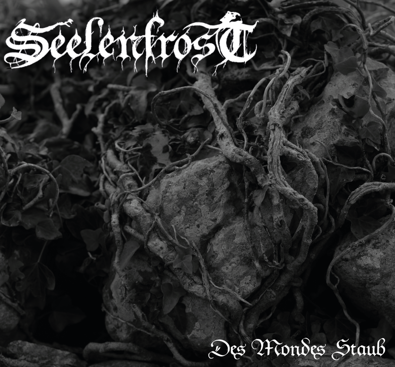 Seelenfrost - Des Mondes Staub CD Mediabook